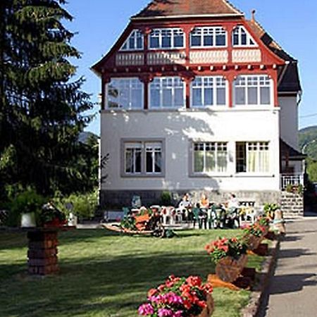 Villa Du Sendenbach Muhlbach-sur-Munster Zewnętrze zdjęcie